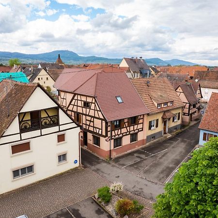 La Ruine - Gite D'Alsace Jusqu'A 10 Personnes Avec Spa Interieur Guémar Kültér fotó