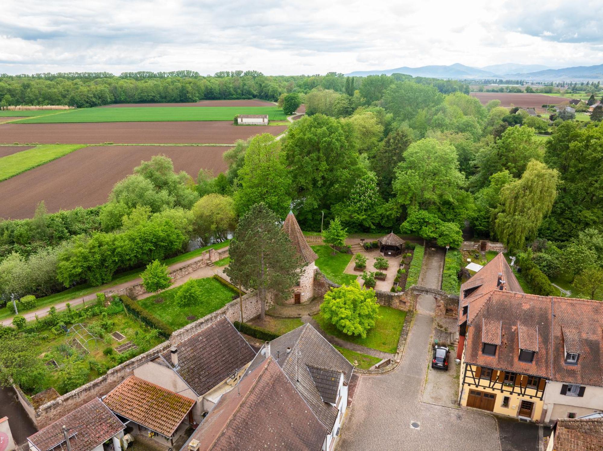 La Ruine - Gite D'Alsace Jusqu'A 10 Personnes Avec Spa Interieur Guémar Kültér fotó
