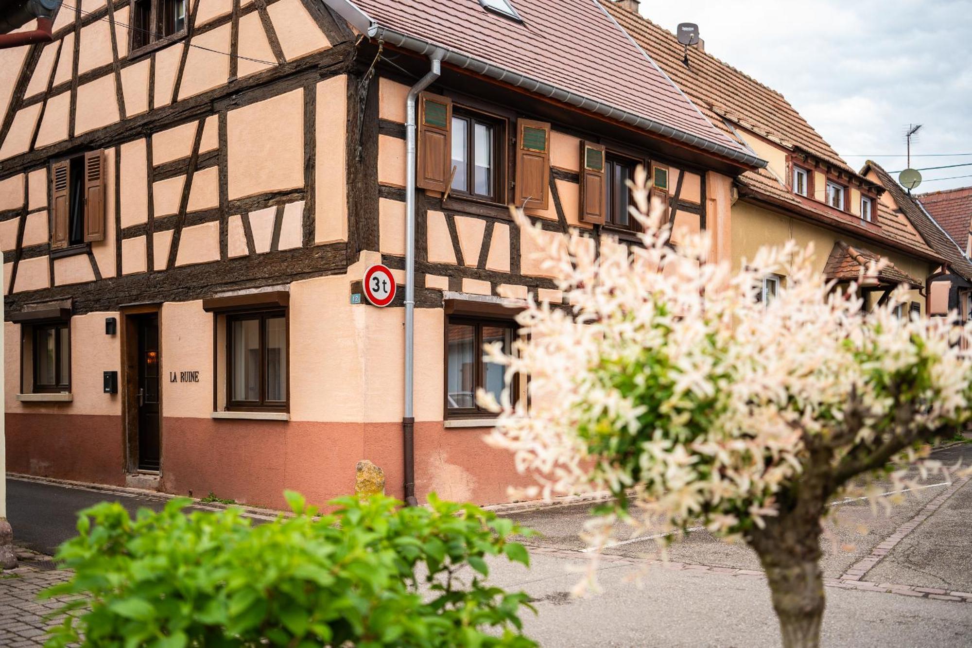 La Ruine - Gite D'Alsace Jusqu'A 10 Personnes Avec Spa Interieur Guémar Kültér fotó